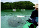 Palau Snorkeling and Sea Kayaking: Experience the Natural History Paradise of the Rock Islands