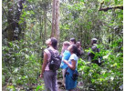 32-Day Wildlife & Cultural Experience in Rwanda, Uganda, Kenya & Tanzania