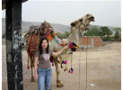 Discover Delhi, Agra and Jaipur on the Golden Triangle Tour of India