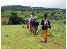 Explore the Mystical Mountains and Dragon Kingdom of Bhutan