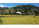 Fall Festivals of Bhutan