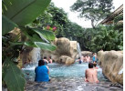 Arenal Rainforest to Manuel Antonio Family Adventure