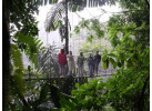 Arenal Rainforest to Manuel Antonio Family Adventure