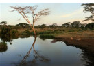 African Culture And Wildlife Viewing on Addis to Zanzibar Adventure