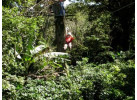 The Essence of Nicaragua in 12 Day Trip
