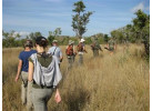 12 Days Adventure The Great Namibia Wildlife Safari