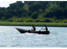 7 Day Gorillas in Rwanda and Chimps and Wildlife in Uganda 