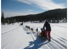 Winter Wonderland - Sweden Family Adventure