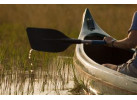 Explore the Landscapes and Wildlife of Botswana Elephant Trail