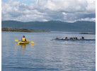 Sail to Haida Gwaii and Queen Charlotte Islands - Island Odyssey 8 Days