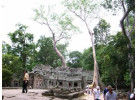 Trails of Indochina in Laos, Vietnam & Cambodia Guided Walking for 11 Days