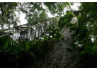 Spend 5 Days Exploring the Amazon of Ecuador