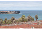 Voyage Galapagos: 7-Day G3 Cruise & Wildlife Adventure in Central Islands