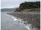 Learn the History of Brazil, Argentina & Chile in this 27-day Cultural Adventure