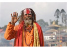Annapurna Mountains & Wildlife