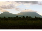 12 Day - Classic Uganda and Rwanda