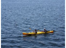 ActiVino! Paddle & Wine