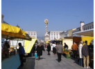 11 Days Self Guided Biking in Austria & Germany , The Danube to Vienna