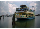 Sightseeing Cruise (Afternoon Sightseeing & Dolphin Watch)