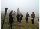 Tuscan Wine Treasures: Chianti, Brunello & Vino Nobile