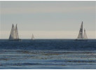 Experience the Thrill of Wednesday Night Regatta
