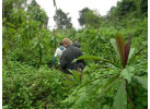 Discover the Cultural Heritage of Uganda, Rwanda & Kenya in this 19-Day Wildlife Adventure