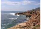 2 Hour Harbor Tour in San Diego