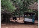 Essence of South Africa - 14 Day Tour
