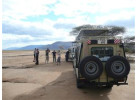 Serengeti: The Ultimate Safari Experience