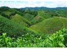 A Cultural Exploration Into the Heart of North Thailand by Bike