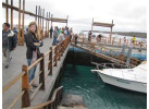 Voyage Galapagos: 7-Day G3 Cruise & Wildlife Adventure in Central Islands