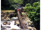 Annapurna Mountains & Wildlife