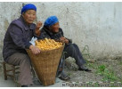 Wild & Ancient China