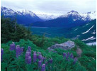Alaska Family | Kenai Peninsula
