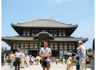 Experience Japan from the Neon Lights of Tokyo to Kyoto's Temples