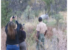 Volunteer and Wildlife Adventure in Zambia Community & Safari