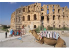 Tunisia, Malta & Italy: 36-Day Cultural and Historical Adventure