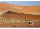 Splendors of Southern Africa - Namibia, Botswana and Zimbabwe