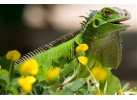 Best of Costa Rica 