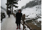 See the Famous Snow Monkeys of Japan