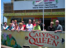 Sightseeing Cruise (Afternoon Sightseeing & Dolphin Watch)