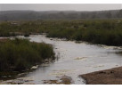 South African Safari and Victoria Falls