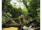 Spend 5 Days Exploring the Amazon of Ecuador