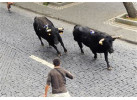 Adventure from Barcelo to Bilbao Highlights an Experience with Running of the Bulls