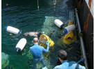 Snorkeling in the Remote Islands of the Coral Triangle - Misool Archipelago