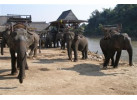 16-Day Cultural & Historical Adventure in Thailand & Laos
