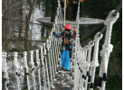 Wild Winter Ride Canopy Tour