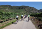 8 Days Exploring Passau to Vienna - Danube Cycle(Self guided)
