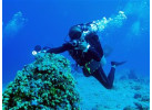Palau Snorkeling and Sea Kayaking: Experience the Natural History Paradise of the Rock Islands