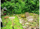 8 Day - Gorillas in the Virungas and Bwindi 